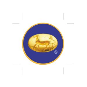 MIRROR_GOLD RING protaseis-2